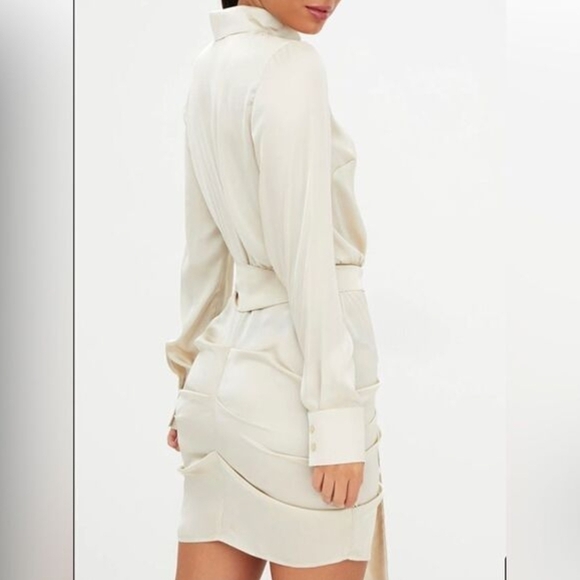 Elegant Champagne Tie-Waist Dress - Picture 4 of 5